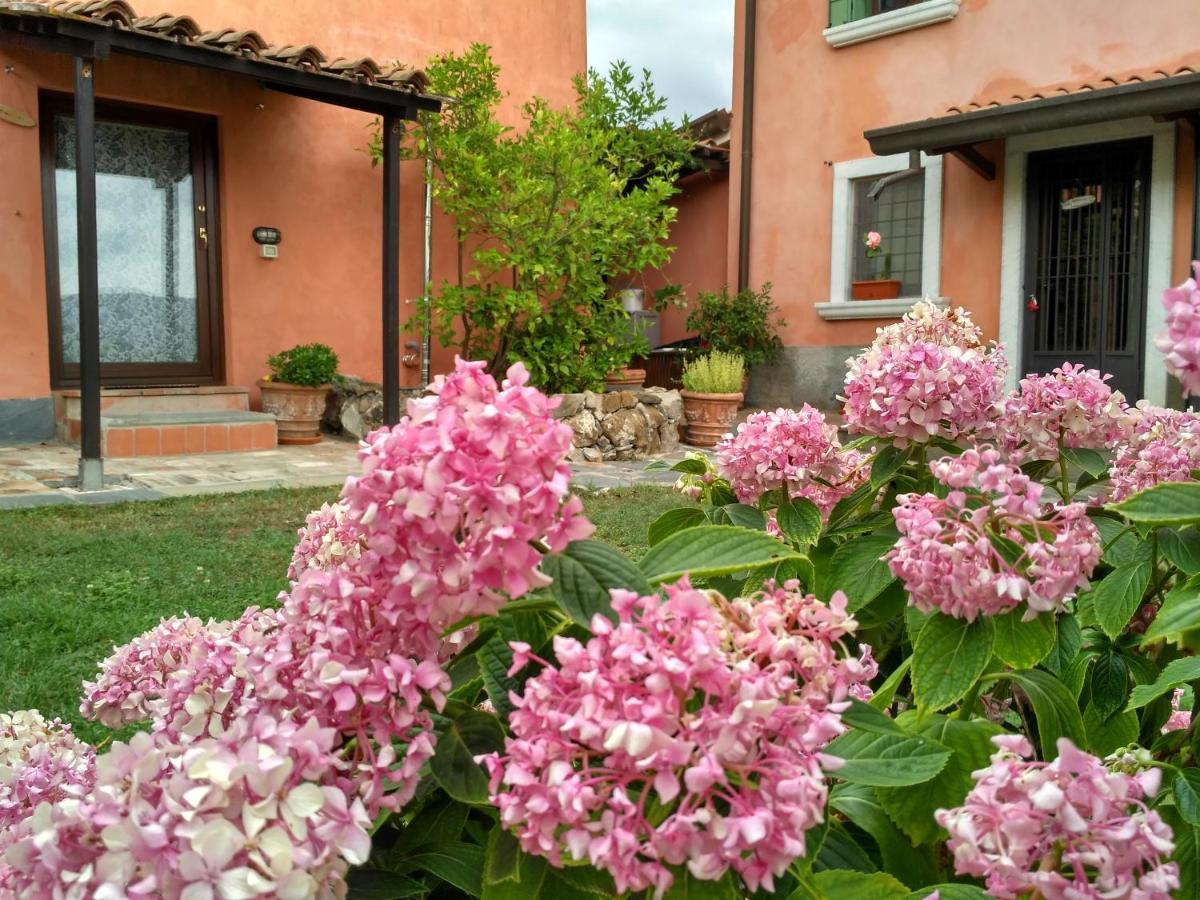 B&B Dama Sarzana Extérieur photo